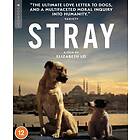 Stray (UK-import) Blu-ray