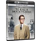 To Kill A Mockingbird (1962) / Drep Ikke En Sangfugl (UK-import) Blu-ray