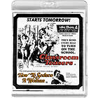 Classroom Teasers (1976) How To Seduce A Woman (1974) (Drive-In Double Feature #