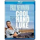 Cool Hand Luke (UK-import) Blu-ray