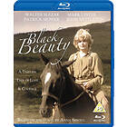 Beauty (UK-import) Blu-ray