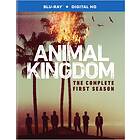 Animal Kingdom Sesong 1 Blu-ray