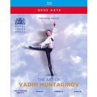 The Art Of Vadim Muntagirov Blu-ray