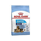 Royal Canin SHN Maxi Starter 4kg