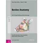 Bovine Anatomy