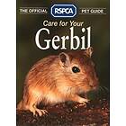 Care for your Gerbil (The Official RSPCA Pet Guide)