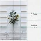 La Dispute Tiny Dots LP