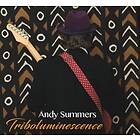 Andy Summers Triboluminescence CD