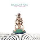 Blossom Toes If Only For A (Expanded) CD