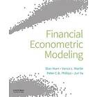 Financial Econometric Modeling