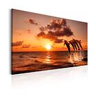 Arkiio Tavla The Dolphin's Dance 90x60 A3-N6025-DKX