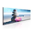 Arkiio Tavla Zen Garden 120x40 A3-N6568