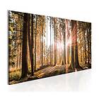 Arkiio Tavla Small Natural Wonders 120x40 A3-N3991