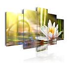 Arkiio Tavla Sunny Lotus 200x100 A3-N6223-DKX