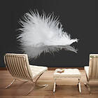 Artgeist Fototapet White feather vita fjädrar (flera storlekar)