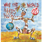 Public Image Ltd What The World Needs Now... CD