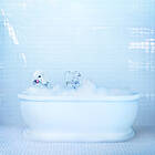 Frankie Cosmos Vessel CD