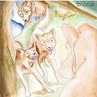 Bonnie Prince Billy Wolf Of The Cosmos CD
