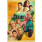 The White Lotus Sesong 2 (UK-import) DVD