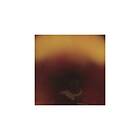 Dustin Wong Mediation Of Ecstatic Energy CD