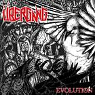 Übergang - Evolution CD