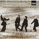 Vertavo String Nielsen: s CD