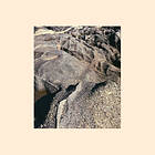 Shida Shahabi Shifts LP