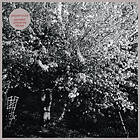Papercuts Parallel Universe Blues CD