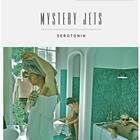 Mystery Jets Serotonin CD