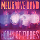 Meligrove Band Bones Of Things LP
