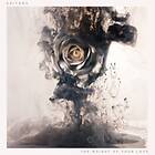 Editors The Weight Of Your Love CD