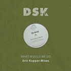 Dsk What Would We Do Eric Kupper Mixes CD