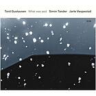 Gustavsen Tord/Simin Tander: What was said CD