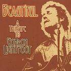 Gordon Lightfoot Tribute Beautiful A To CD