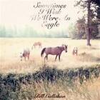Bill Callahan Sometimes I Wish We Were An Eagle CD