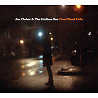 Jen Cloher Dead Falls CD
