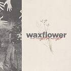 Waxflower We Might Be Alright CD