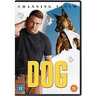 Dog DVD