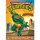 TMNT Teenage Mutant Ninja Turtles Best Of Michelangelo DVD