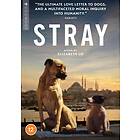 Stray DVD