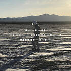 Spiritualized And Nothing Hurt CD