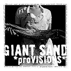 Giant Sand proVisions CD