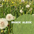 Smack Aleck Unavoidable CD