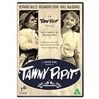 Tawny Pipit DVD