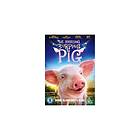 The Amazing Burping Pig DVD