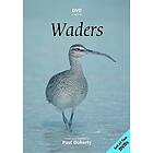 Waders (DVD)