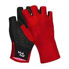 BlueBall Sport Bb170613t Gloves (Women's)
