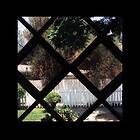 Psychic Temple III CD
