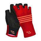 BlueBall Sport Bb170523t Gloves (Women's)