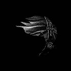 Moses Boyd Dark CD